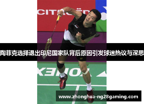 陶菲克选择退出印尼国家队背后原因引发球迷热议与深思