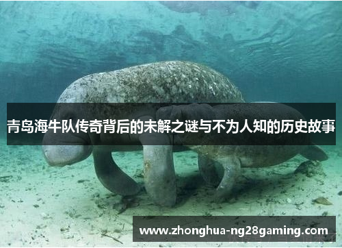 青岛海牛队传奇背后的未解之谜与不为人知的历史故事