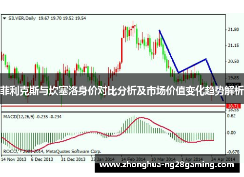 菲利克斯与坎塞洛身价对比分析及市场价值变化趋势解析