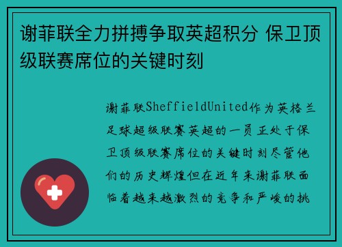 谢菲联全力拼搏争取英超积分 保卫顶级联赛席位的关键时刻 谢菲联全力拼搏争取英超积分 保卫顶级联赛席位的关键时刻