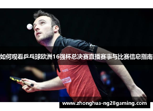 如何观看乒乓球欧洲16强杯总决赛直播赛事与比赛信息指南