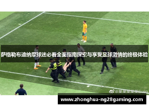 萨格勒布迪纳摩球迷必看全面指南探索与享受足球激情的终极体验